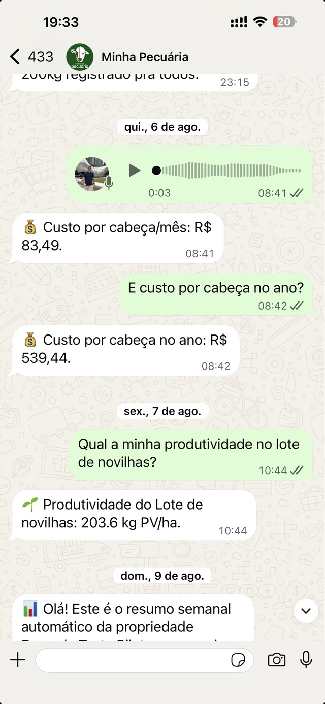 Conversa real de WhatsApp com o bot da Minha Pecuária respondendo custo por cabeça e produtividade do lote