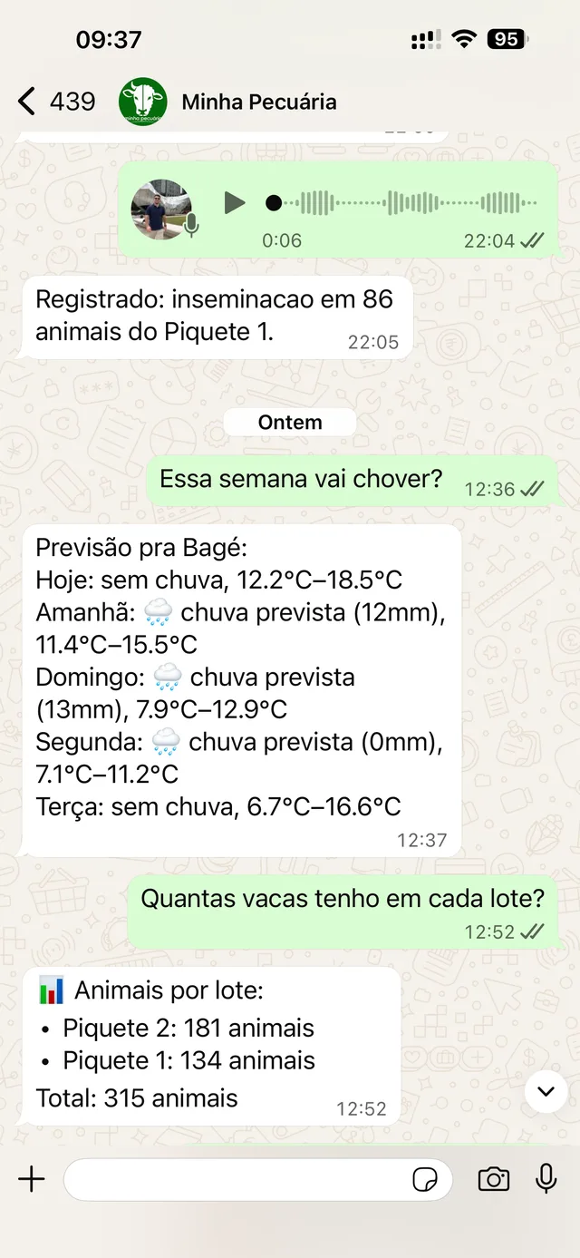 Bot respondendo a previsão do tempo no WhatsApp